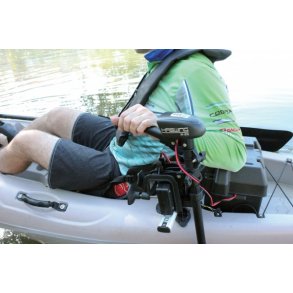 Haswing 20 lbs